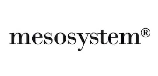 mesosystem-logo-small